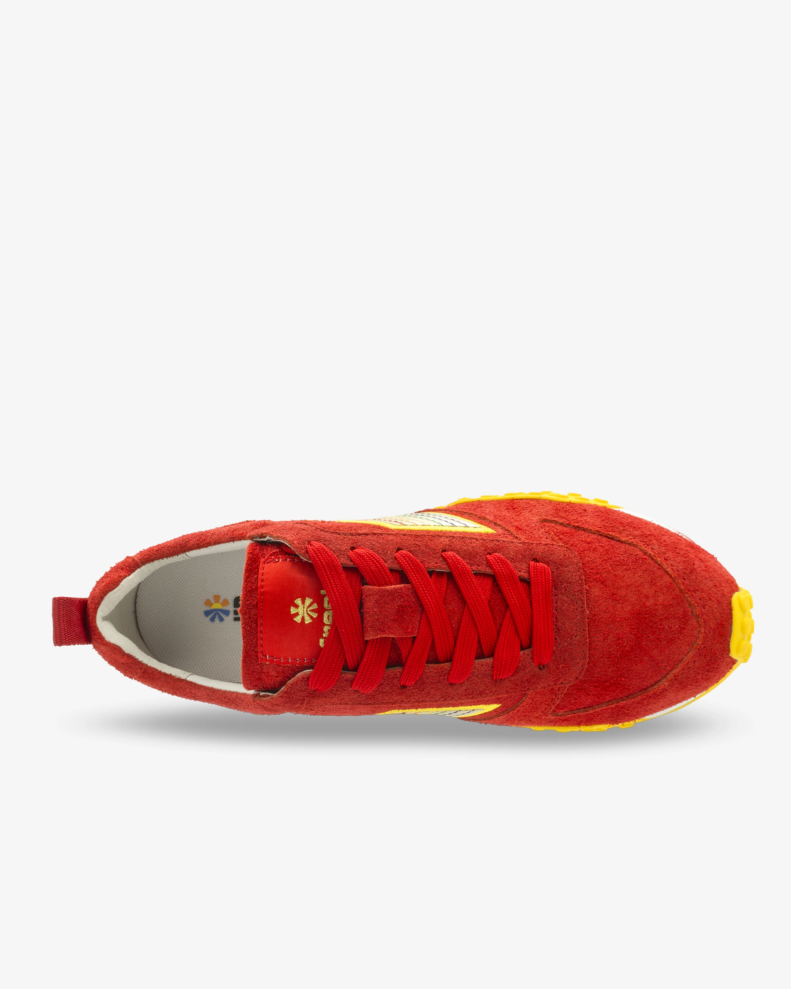 Dawg Trainers - Brites - Image 5